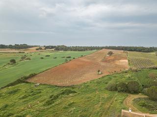 Rural plot in Niebla