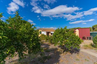 Mas�a  Camino del madro�o. ?? finca con casa en bonares � naturaleza a 30 min de la costa
