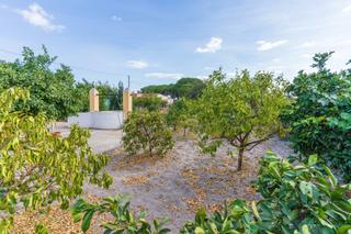 Mas  Camino del madroño. ?? finca con casa en bonares – naturaleza a 30 min de la costa