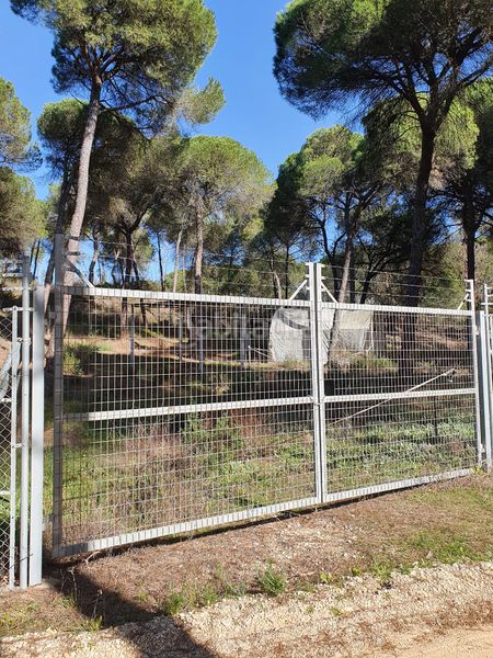 Foto 5f080da0-811d-4ed8-8bf7-50e722e26431. Finca rústica a Moguer
