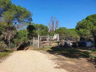 Finca r�stica en Moguer. Finca r�stica vallada:privacidad,naturaleza y gran potencial