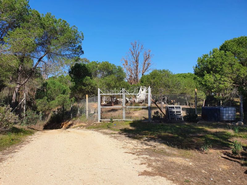 Foto 773db170-81b5-4133-ab7f-1ed50e319a16. Finca rústica a Moguer