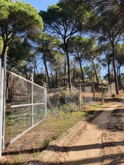 Finca rústica a Moguer. Finca rústica vallada:privacidad,naturaleza y gran potencial