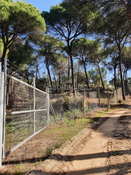 Foto 9b0691a4-3a2a-485f-826a-2c6ea345caed. Finca rústica a Moguer
