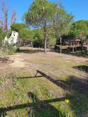Finca rústica en Moguer. Finca rústica vallada:privacidad,naturaleza y gran potencial