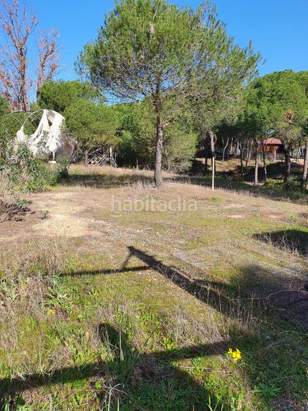 Foto b50e5ac7-b027-450e-b3ee-653bd25fa0c0. Finca rústica a Moguer