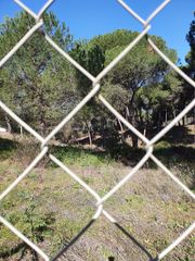 Finca r�stica en Moguer. Finca r�stica vallada:privacidad,naturaleza y gran potencial
