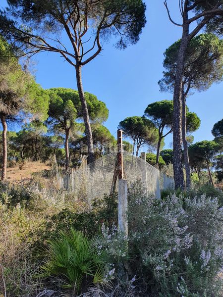 Foto e8fc12ef-d3ee-4b5f-be66-590f0f763cdd. Finca rústica a Moguer