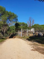 Finca rústica en Moguer. Finca rústica vallada:privacidad,naturaleza y gran potencial