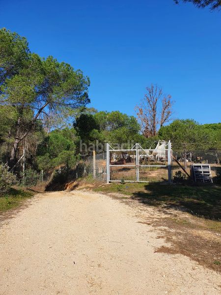Foto f83a22f3-6cfe-4949-b199-ddfe702e271b. Finca rústica a Moguer