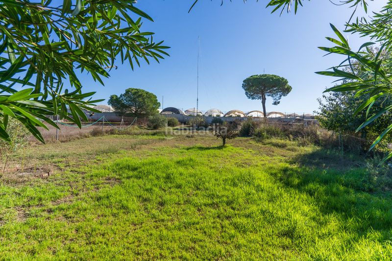Foto a624f130-a31c-4c0c-a834-9d84e7114059. Masia amb xemeneia aparcament piscina a Bonares