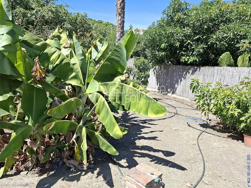 Foto ad3f32e2-0598-4fbf-a3df-06d0c00d3e36. Casa  de campo con parcela de 1238 m2, piscina privada, zona de barbacoa y terraza en Frigiliana