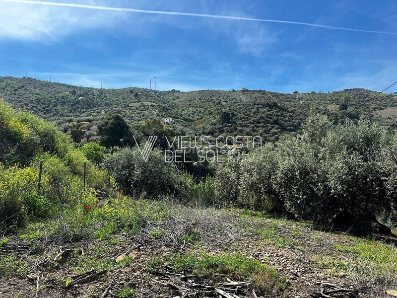 Foto 4dc3eed7-a845-4a16-a2bb-5ad8277d5ab7. Casa amb aparcament a Alcaucín