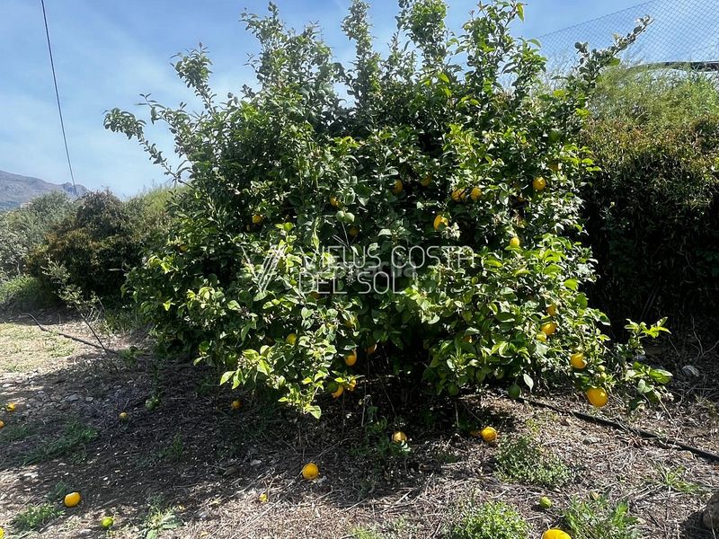 Foto d8b19aeb-1038-45da-b620-0219e93310b1. Casa amb aparcament a Alcaucín