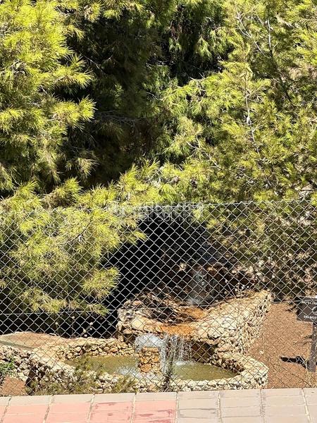 Foto a9e58563-1d20-4e58-b970-b922ec70b5cd. Terreno residenziale in Caleta de Velez