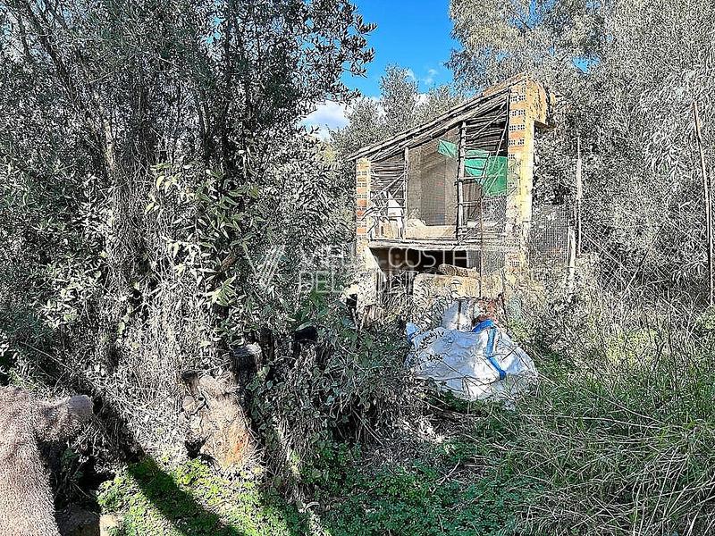 Foto 4dd78088-538c-4017-a5cb-a1b3086f64e0. Haus in Comares