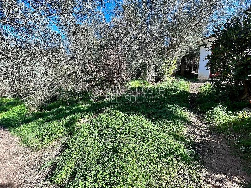 Foto 5559afe8-428c-4192-92ae-98a974daee8d. Haus in Comares