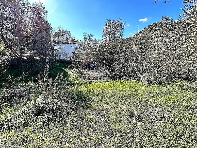 Foto 56bf849f-bfd6-4a28-a383-3ded4453bb95. Haus in Comares