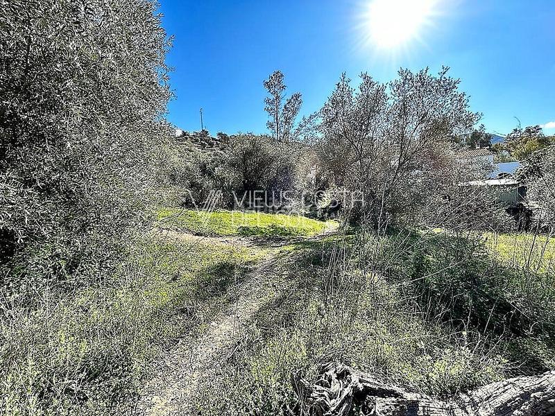 Foto 954d8a83-c012-415c-85ca-8c7d0dbb8298. Haus in Comares