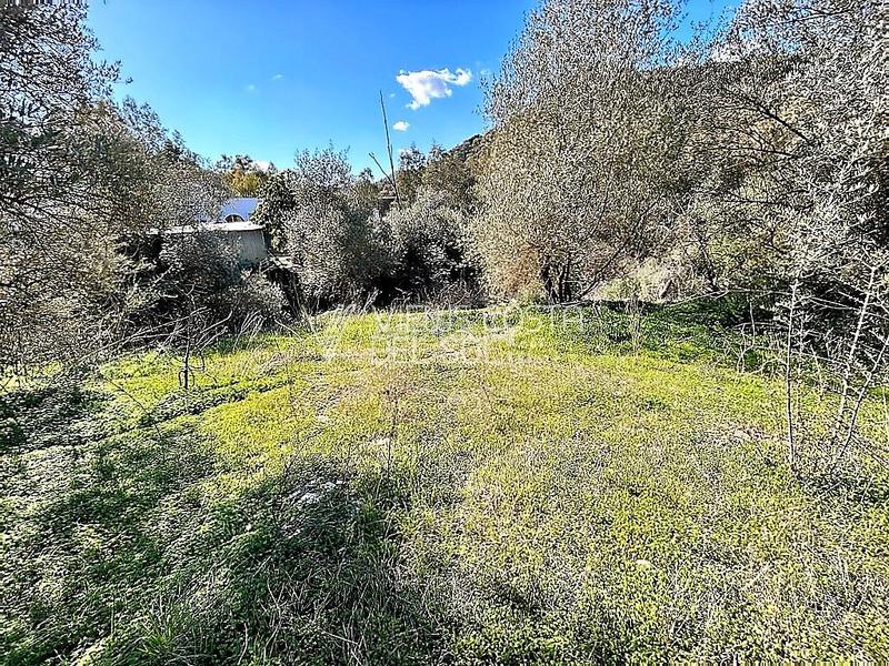 Foto 9c76795a-6201-4c39-865e-9acbaacb8652. Haus in Comares