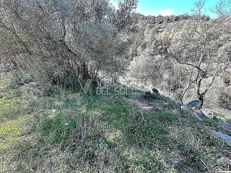 Foto aaf75e72-fef1-4972-b9bd-d44a6b58296a. Haus in Comares