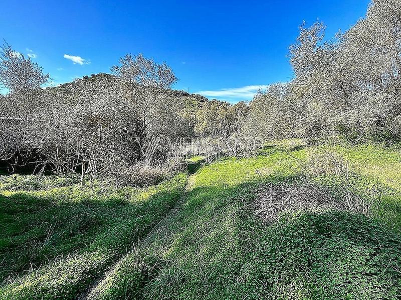 Foto e10f278c-0dab-4f75-9d73-ee31a28e7b0e. Haus in Comares