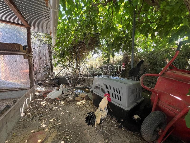 Foto 33161574-3b73-4a90-a2b0-b7d7fad1ab3f. Casa se vende villa independiente con licencia turística, piscina, y gran parcela , málaga en Riogordo