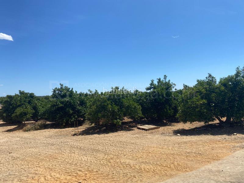 Foto 21f54b21-6631-451e-8b2c-56432ef74c3a. Terreno residencial venta de fincas agrícolas en la ribera en Cartaya