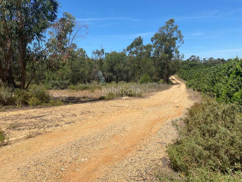 Foto 2548233d-f277-4431-b69b-bca982bab27b. Terreno residencial venta de fincas agrícolas en la ribera en Cartaya