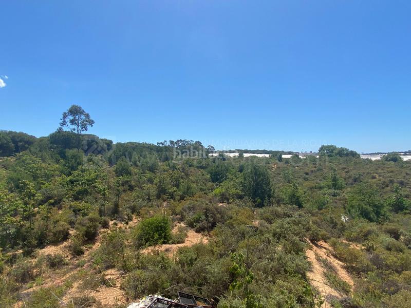 Foto 634cb2df-e5bd-4e7d-999e-9d2bc05ded44. Terreno residencial venta de fincas agrícolas en la ribera en Cartaya