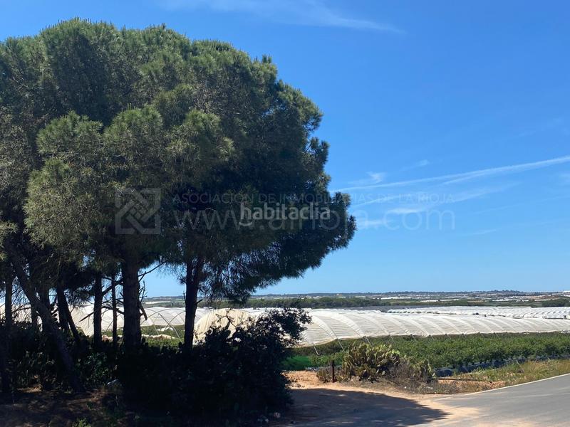 Foto 7db7b96a-5db4-4b89-9aa5-526f411e8e12. Terreno residencial venta de fincas agrícolas en la ribera en Cartaya