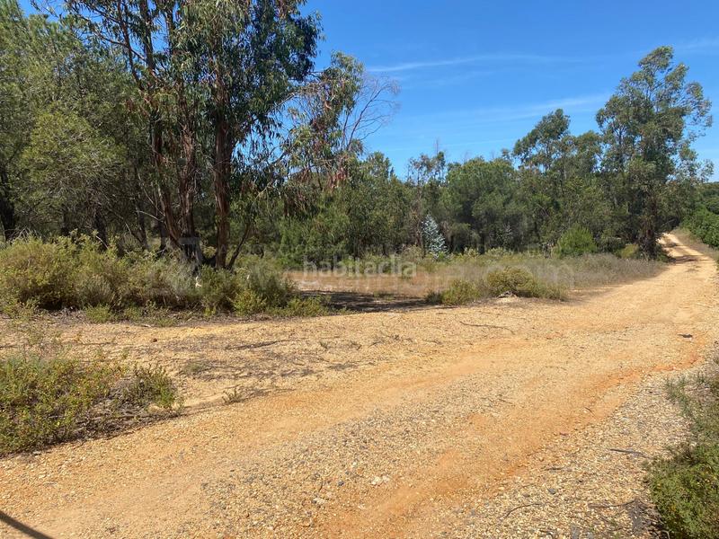 Foto 8998748b-79ce-4932-b61e-e094b932bb23. Terreno residencial venta de fincas agrícolas en la ribera en Cartaya