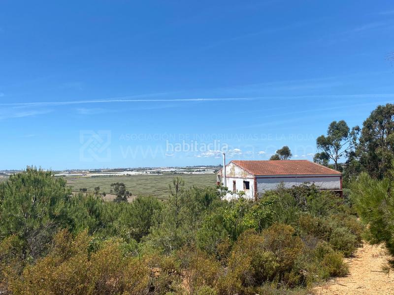 Foto 8b2395f9-e71f-464a-a2cb-cd78c0518370. Terreno residencial venta de fincas agrícolas en la ribera en Cartaya