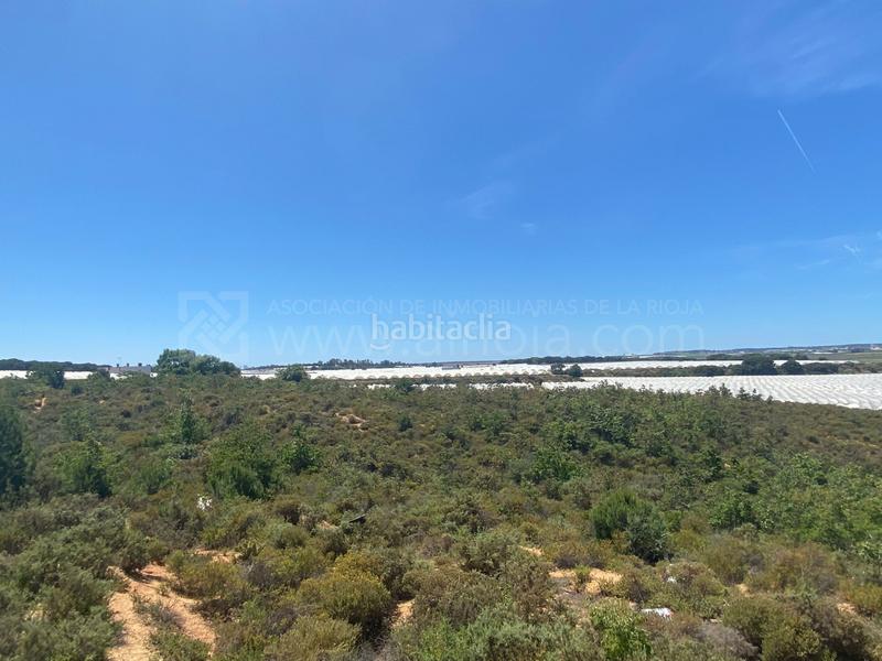 Foto 92c17d7b-5424-44c2-a236-3b0fed2cf587. Terreno residencial venta de fincas agrícolas en la ribera en Cartaya