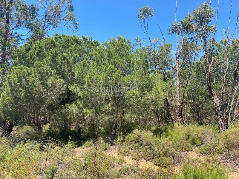 Foto a4bc0feb-bd7c-4811-acd5-068a646a7148. Terreno residencial venta de fincas agrícolas en la ribera en Cartaya
