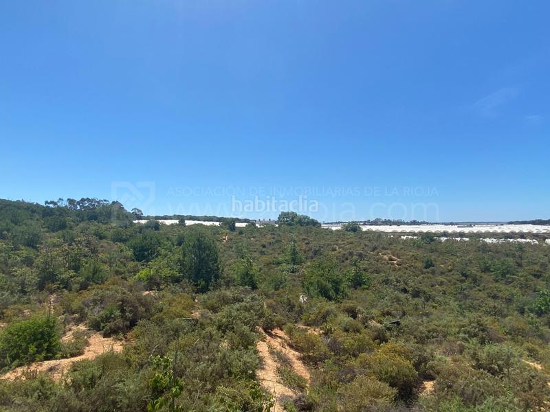 Foto bb273368-b341-4557-89dc-e8988cb5719d. Terreno residencial venta de fincas agrícolas en la ribera en Cartaya