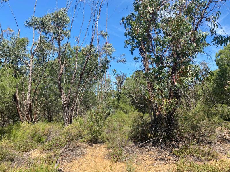 Foto c308ca9a-62e4-4ec0-b7cf-6dca487c4589. Terreno residencial venta de fincas agrícolas en la ribera en Cartaya