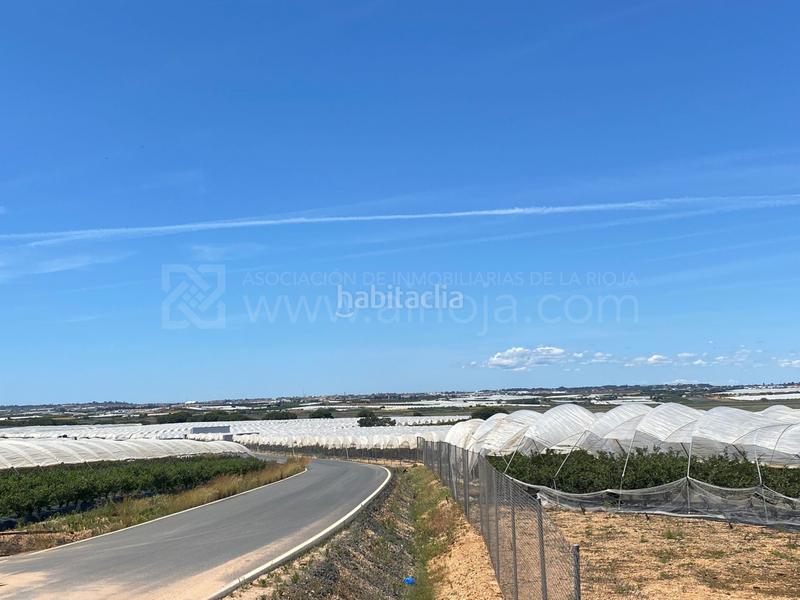 Foto e4f052e3-0381-423d-a400-c73a1af00e89. Terreno residencial venta de fincas agrícolas en la ribera en Cartaya