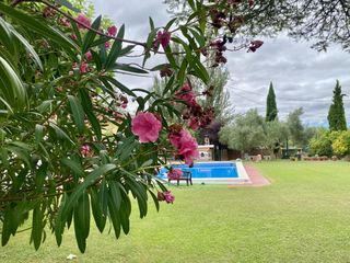 Casa  Asa - carretera la guardia. Villa oportunidad de inversi�n y alta rentabilidad en rioja alav