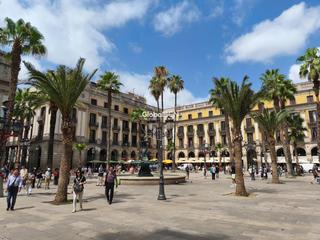 Traspàs Local Comercial  Carrer dels escudellers blancs. Local con obrador a pasos de la plaza real!!