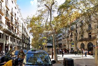 Local Comercial en Dels Escudellers Blancs