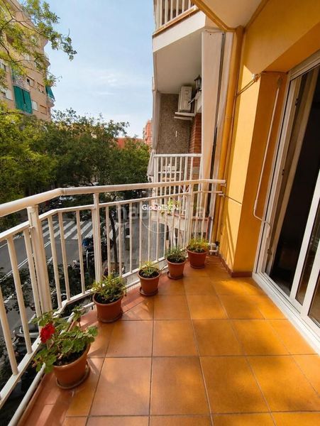 Foto a42a3cd7-c832-4000-bc79-47c0deeb34db. Pis a Sants-Badal Barcelona