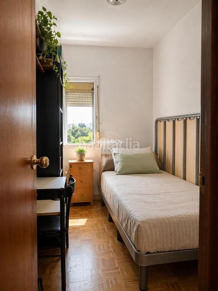 Foto cfc67685-7878-406b-916d-32965b6d2844. Pis a Trinitat Nova Barcelona