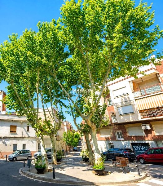 Foto 3a32f967-9e6b-425b-a34e-f31b3b90c813. Pis a La Gavarra Cornellà de Llobregat