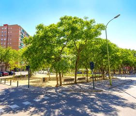 Pis  De ramoneda. Piso a reformar con grandes posibilidades en calle ramoneda!!