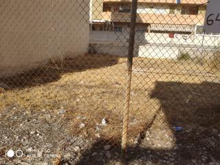 Terreny residencial a Daimús. Ltpgt ltstronggtiexcltu oportunidad de tener el terreno perfecto