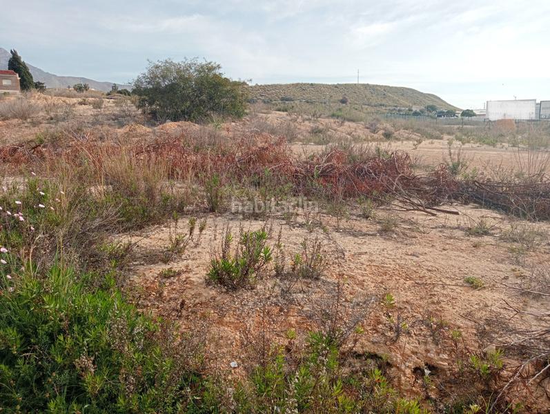 Foto 8c40c91d-4707-4fe3-849d-ce37a8acc581. Residential plot in Platja de Torres Vila Joiosa (la)