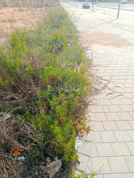 Foto aa046c39-f30b-4421-82cc-ccf0c499a2c6. Residential plot in Platja de Torres Vila Joiosa (la)