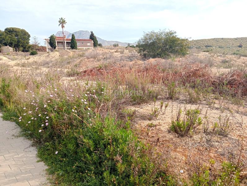 Foto f8fb0e20-a735-4a9e-87f8-b70276c5c7fa. Residential plot in Platja de Torres Vila Joiosa (la)