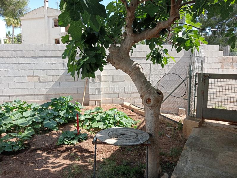 Foto 0f9daf0c-ba1b-42b0-9f16-e60ddffda7b1. Residential plot in Varadero Nucia (la)